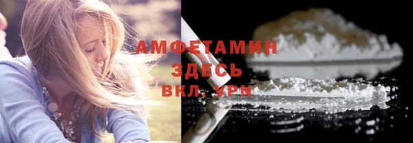 амф Алексин