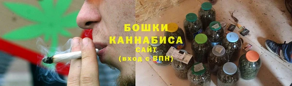 шишки Алексеевка