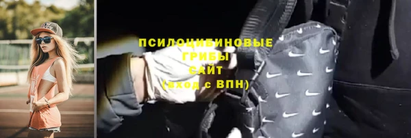 шишки Алексеевка