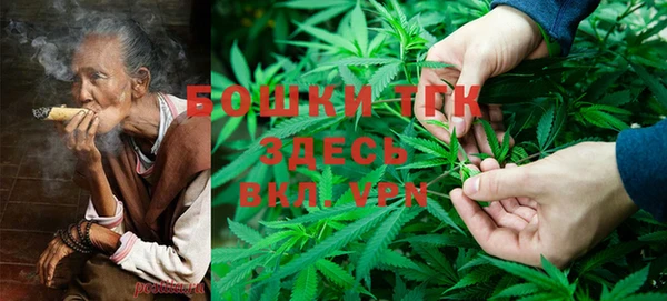шишки Алексеевка