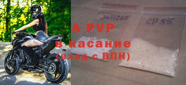 сатива Абинск