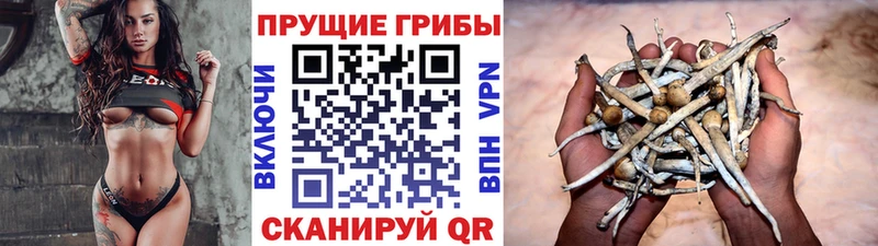 Галлюциногенные грибы MAGIC MUSHROOMS Бийск
