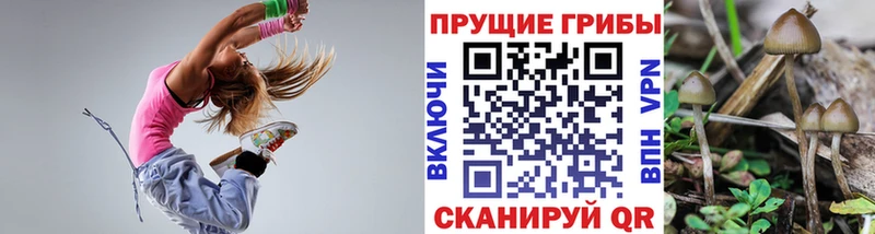 Псилоцибиновые грибы ЛСД  Бийск 