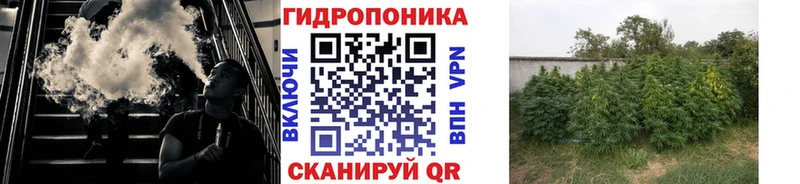 Бошки Шишки план  Бийск 